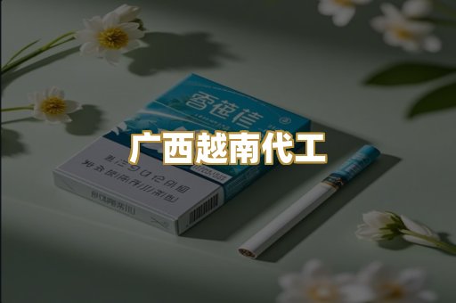 广西越南代工